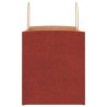 Sacs en papier 250 pcs avec poignées rouge 32x22x24 cm 