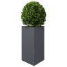 Jardinière anthracite triangulaire 50x43x75 cm acier 