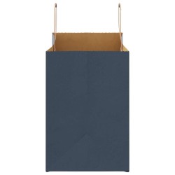 Sacs en papier 50 pcs avec poignées bleu 32x17x25 cm 