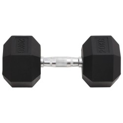 Haltère 20 kg Fonte 