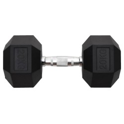 Haltère 20 kg Fonte 