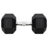 Haltère 20 kg Fonte 
