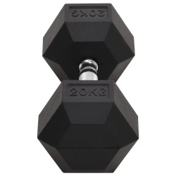Haltère 20 kg Fonte 