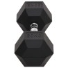 Haltère 20 kg Fonte 
