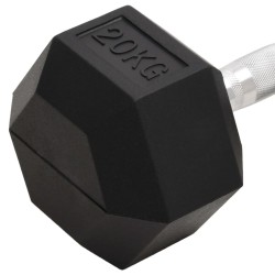 Haltère 20 kg Fonte 