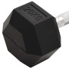 Haltère 20 kg Fonte 