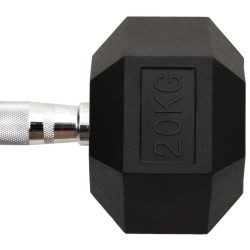 Haltère 20 kg Fonte 
