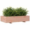 Jardinière 110x60x26,5 cm bois massif de douglas 