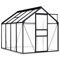 Serre avec cadre de base Anthracite Aluminium 4,75 m² 