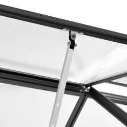 Serre avec cadre de base Anthracite Aluminium 4,75 m² 