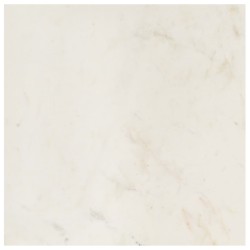 Table basse Blanc 60x60x35 cm Pierre véritable texture marbre 