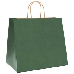 Sacs en papier 50 pcs avec poignées vert 32x22x28 cm 