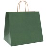 Sacs en papier 50 pcs avec poignées vert 32x22x28 cm 