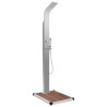 Douche d'extérieur avec receveur de douche WPC Acier inoxydable 