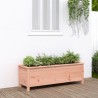 Lit surélevé de jardin 119,5x40x39 cm bois douglas massif 