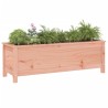 Lit surélevé de jardin 119,5x40x39 cm bois douglas massif 