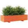 Jardinière cire marron 110x40x26,5 cm bois de pin massif 