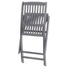 Chaises pliables d'extérieur lot de 8 et coussins Bois d'acacia 