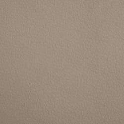 Canapé pour enfants cappuccino 70x45x30 cm similicuir 