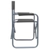 Chaises de metteur en scène lot de 2 Acier Gris 