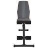 Banc de Poids Réglable Pliable 230 kg Acier Noir 