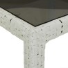 Ensemble à manger de jardin et coussins 5 pcs blanc rotin verre 