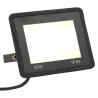 Projecteur à LED 50 W Blanc chaud  
