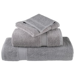 Serviettes d'invité de qualité supérieure SOLUND 2 pcs gris 