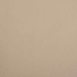 Lit pour chien cappuccino 95x55x30 cm similicuir 
