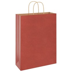 Sacs en papier 250 pcs avec poignées rouge 32x12x42 cm 