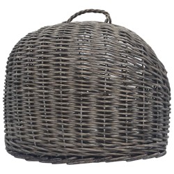 Cage de transport pour chats Gris 60x45x45 cm Saule naturel 