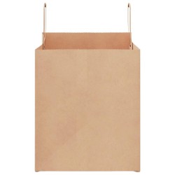 Sacs en papier 250 pcs avec poignées marron 32x22x24 cm 