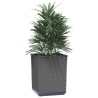 Jardinières 4 pcs noir 30x30x37 cm polypropylène 