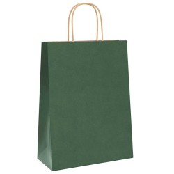 Sacs en papier 50 pcs avec poignées vert 26x12x35 cm 