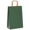 Sacs en papier 50 pcs avec poignées vert 21x11x31 cm 
