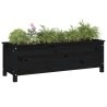 Lit surélevé de jardin noir 119,5x40x39 cm bois de pin massif 