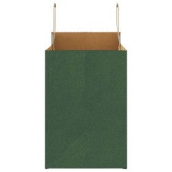 Sacs en papier 250 pcs avec poignées vert 32x17x25 cm 