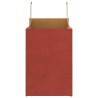 Sacs en papier 250 pcs avec poignées rouge 32x17x25 cm 
