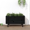 Lit surélevé de jardin noir 101x50x57 cm bois de pin massif 
