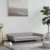 Lit pour chien gris clair 100x50x21 cm velours 