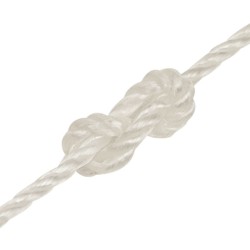 Corde de travail Blanc 3 mm 250 m polypropylène 