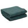 Tapis de tente vert 4x2 m 