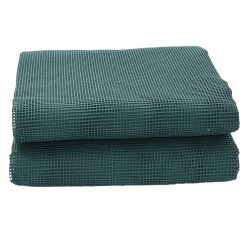 Tapis de tente vert 4x2 m 