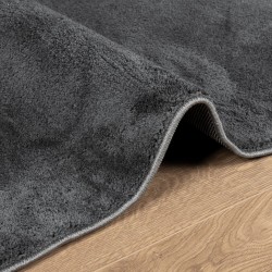 Tapis OVIEDO à poils courts anthracite 80x150 cm 