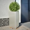 Jardinière triangulaire 50x43x75 cm acier inoxydable 