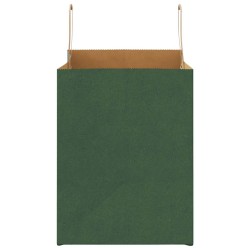 Sacs en papier 250 pcs avec poignées vert 32x22x28 cm 