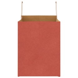 Sacs en papier 250 pcs avec poignées rouge 32x22x28 cm 