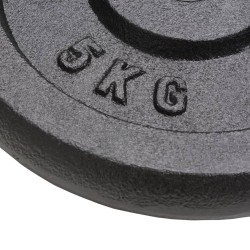Plaque de poids 4 pcs 4x5 kg Fonte 