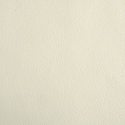 Lit pour chien crème 90x53x30 cm similicuir 