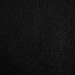 Lit pour chien noir 80x45x30 cm similicuir 